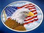 Freedom Eagle