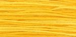 WDW 2224 Squash