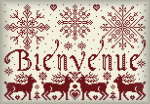 Bienvenue Flocons