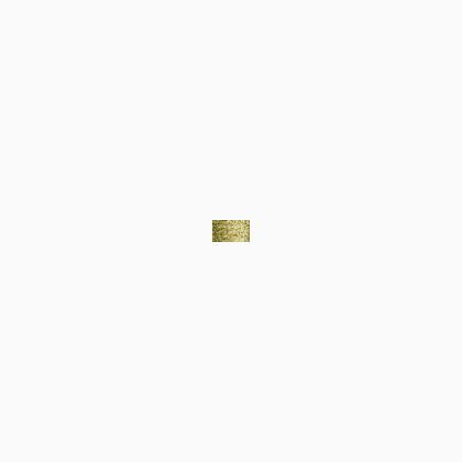 002 Gold (BF)