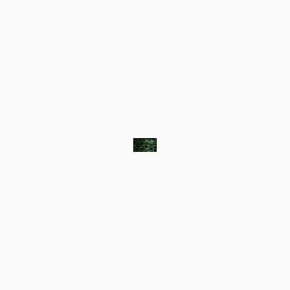 009HL Emerald Hi Lustre (#4)