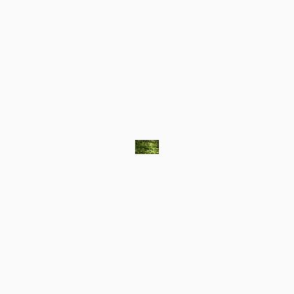 015HL Chartreuse Hi Lustre (#4)