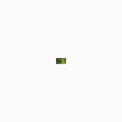 015HL Chartreuse Hi Lustre (BF)
