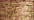 021 Copper (BF)