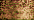 021HL Copper Hi Lustre (BF)