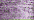 023 Lilac (#8)
