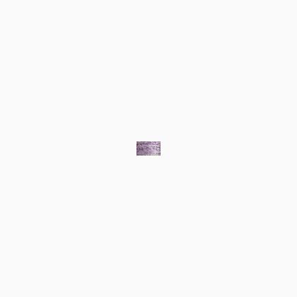 023 Lilac (BF)