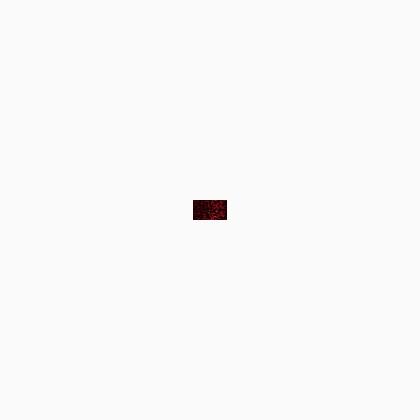 061 Ruby (BF)