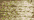 210 Gold Dust (#4)