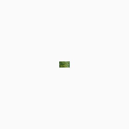 2829 Seafoam (#8)