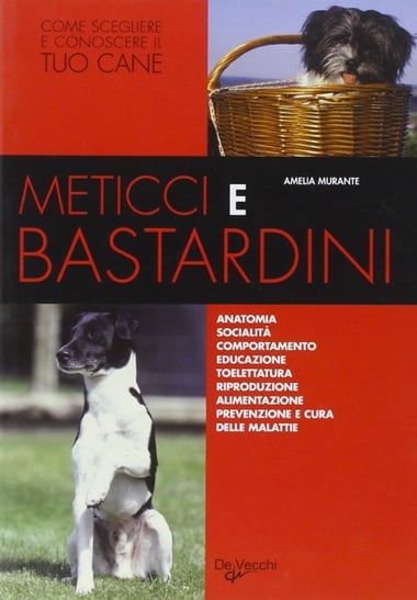 Meticci e bastardini