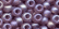 16610 - Frosted Lilac Size 6 Beads