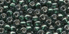 18831 - Golden Emerald Size 8 Beads