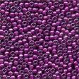 02078 Wild Plum