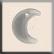 12184 Small Crescent Moon Matte Crystal