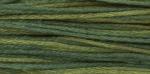 WDW 1276 Blue Spruce