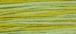 WDW 2206 Pistachio