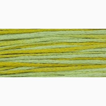 WDW 2206 Pistachio