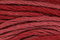 Sampler Threads: Holly Berry