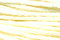 Sampler Threads: Peach Ice Cream