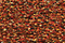 Treasure Petite: pb48 - Autumn Leaves