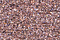 Treasure Petite: pb60 - Dark Powder Pink