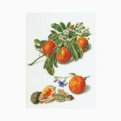 Antique Fruits 1°