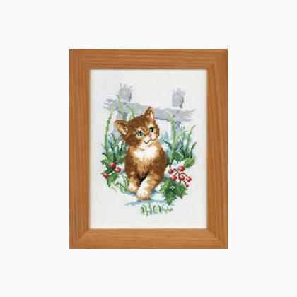 A Cat