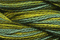 Caron Wildflowers 139 - Kelp