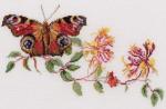 Honeysuckle