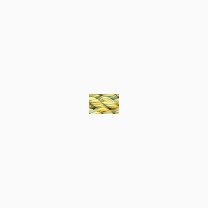 Caron Waterlilies 027 Lemon \'n Line