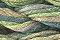Caron Waterlilies 107 Spruce