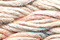 Caron Waterlilies 161 Seashell