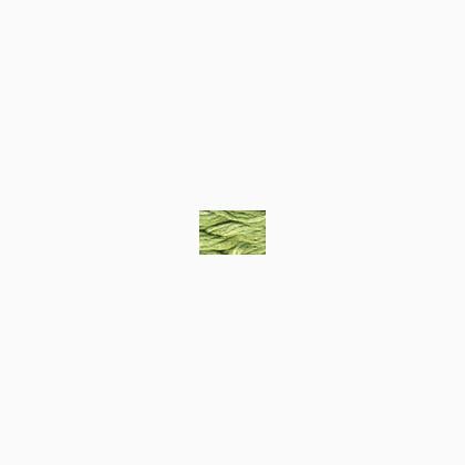 Caron Waterlilies 215 Cilcantro