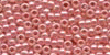 22005 - Economy Pack Dusty Rose