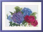 Hortensia and Roses