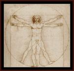 Leonardo - Vitruvian Man