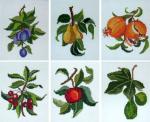 Fruits and Christmas motifs
