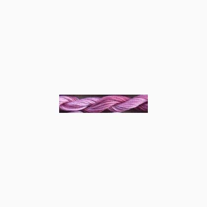 Pivoine