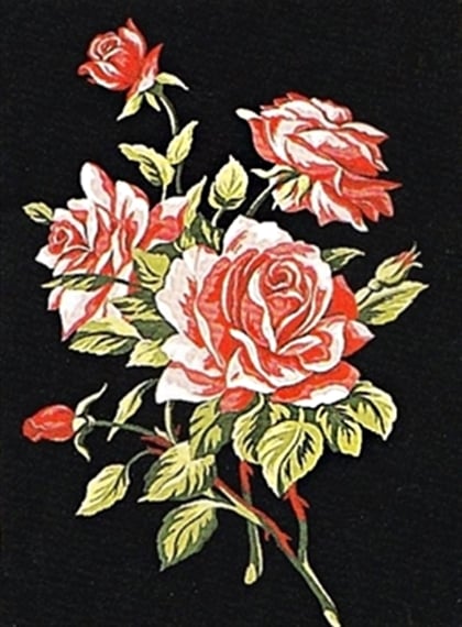 Branch of roses