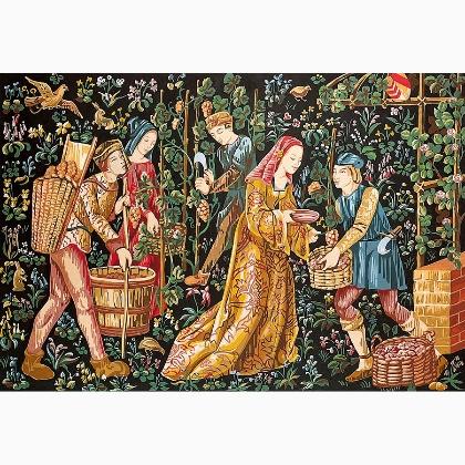 The 15th century grape harvest