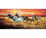 Galloping horses