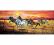 Galloping horses