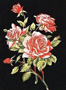 Branch of roses