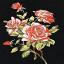 Branch of roses