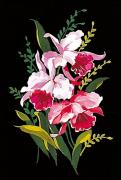 Orchids