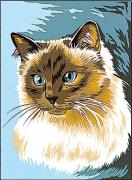 Siamese cat