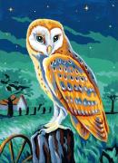The owl