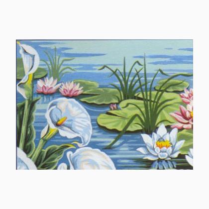 Arums et nympheas