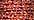 3503 Red Flamenco (#4)